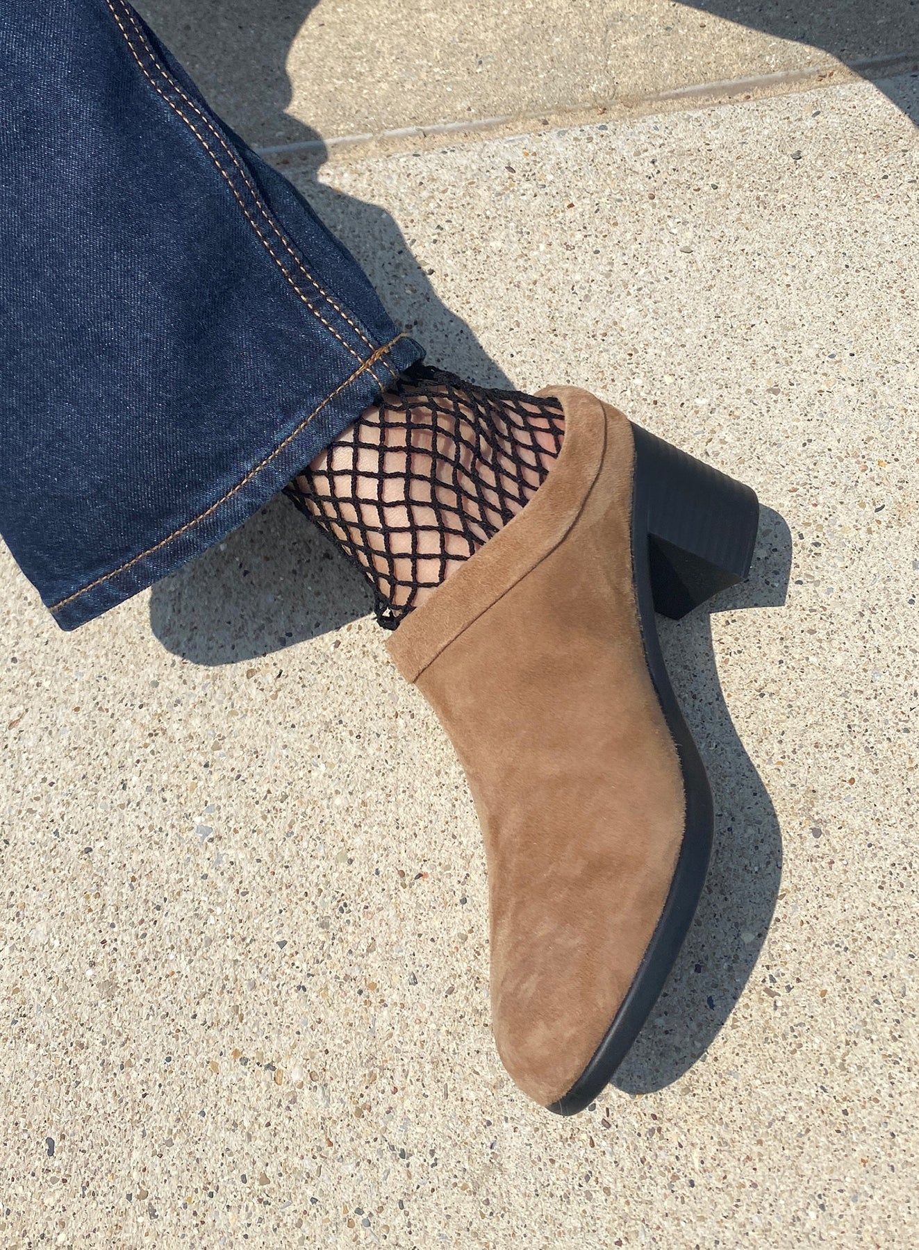 collaredmulecaramel_1533_1800x